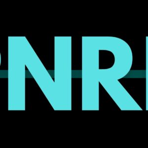 Monitoraggio, rendicontazione e controllo degli interventi del Piano Nazionale di Ripresa e Resilienza (PNRR)